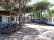 capodannorimini it 4557-pineta-sul-mare-camping-village 007